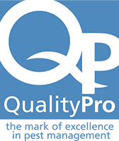 Quality Pro Quality Pro